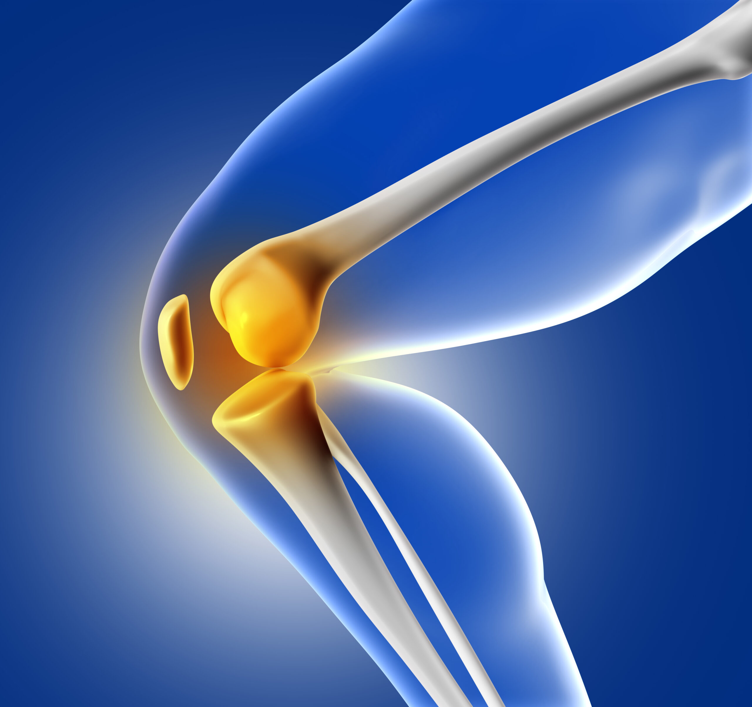3D render of a blue medical image of close up of knee joint